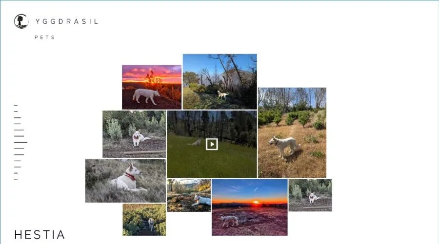 Figma layout with a free-form collage of overlapping dog photographs and a video tile, titled HESTIA, BENEATH THE MILKY WAY